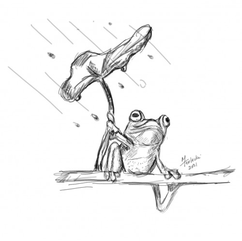 maggiesfrogsketch.jpg