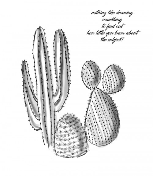 maggiescactus.jpg