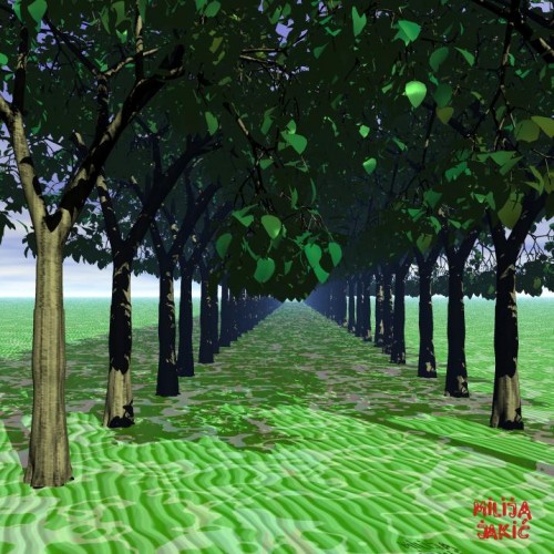 tree001.jpg