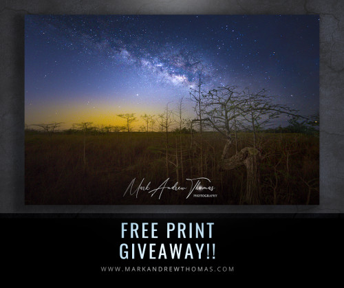 Free_Print.jpg