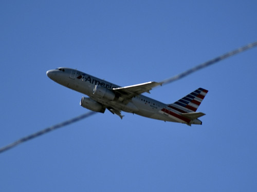 day-158-day-2-DSC0698-bird-on-a-wire.jpg