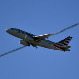 day-158-day-2-DSC0698-bird-on-a-wire