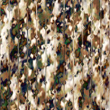 day-171-camouflage-1