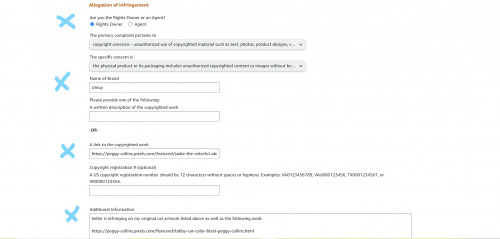 AMAZON-INFRINGEMENT-1.jpg