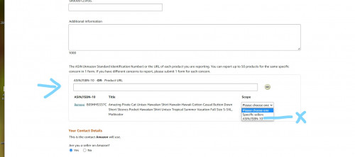 AMAZON-INFRINGEMENT-3.jpg