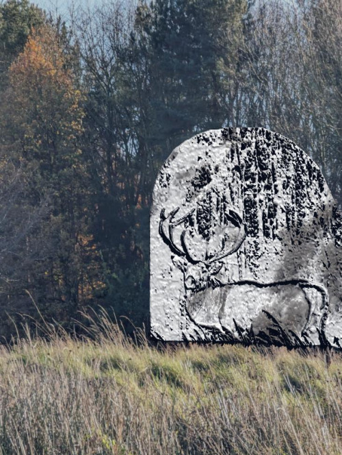 deer001.jpg