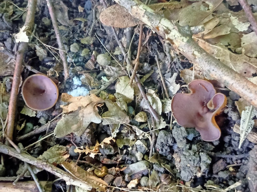 IMG20230619091657.jpg