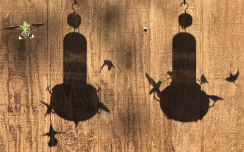 hummie-shadows.jpg